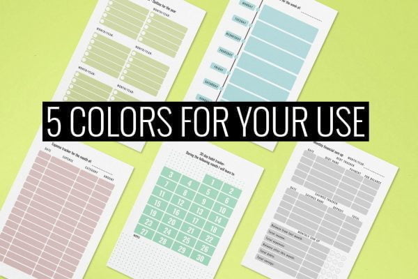 Printable planner PDF for 5 colors